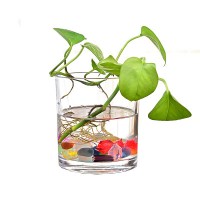 hot sale different size clear glass vase for flowers