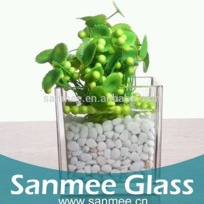 Square Clear Transparent Glass Flowerpot